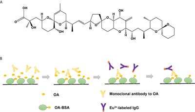 Sensitive time-resolved fluoroimmunoassay for the quantitative detection of okadaic acid